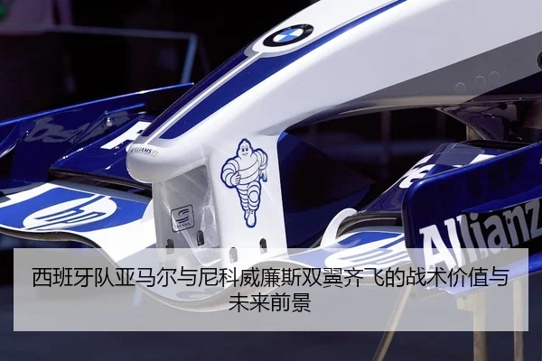 西班牙队亚马尔与尼科威廉斯双翼齐飞的战术价值与未来前景