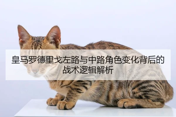 皇马罗德里戈左路与中路角色变化背后的战术逻辑解析